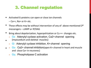 3. Channel regulation
• Activated G-proteins can open or close ion channels
– Ca++, Na+ or K+ etc.
These effects may be without intervention of any of above mentioned 2nd
messengers – cAMP or IP/DAG
Bring about depolarization, hyperpolrization or Ca ++ changes etc.
 Gs : Adenylyl cyclase activation, Ca2+channel opening
(myocardium and skeletal muscles)
 Gi : Adenylyl cyclase inhibition, K+channel opening
 Go : Ca2+ channel inhibition(open K+ channel in heart and muscle
and close Ca+ in neurones)
 Gq : Phospholipase C activation
•
•
•
•
 