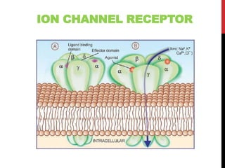 ION CHANNEL RECEPTOR
 