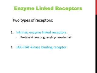 Enzyme Linked Receptors
Two types of receptors:
1. Intrinsic enzyme linked receptors
• Protein kinase or guanyl cyclase domain
1. JAK-STAT-kinase binding receptor
 