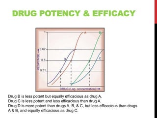 DRUG POTENCY & EFFICACY
Drug B is less potent but equally efficacious as drug A.
Drug C is less potent and less efficacious than drug A.
Drug D is more potent than drugs A, B, & C, but less efficacious than drugs
A & B, and equally efficacious as drug C.
 
