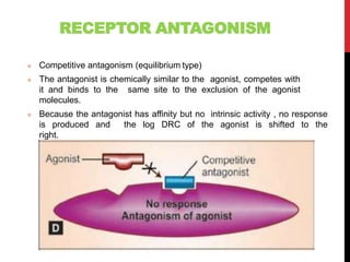 RECEPTOR ANTAGONISM
 Competitive antagonism (equilibrium type)
 The antagonist is chemically similar to the agonist, competes with
it and binds to the same site to the exclusion of the agonist
molecules.
 Because the antagonist has affinity but no intrinsic activity , no response
is produced and the log DRC of the agonist is shifted to the
right.
 