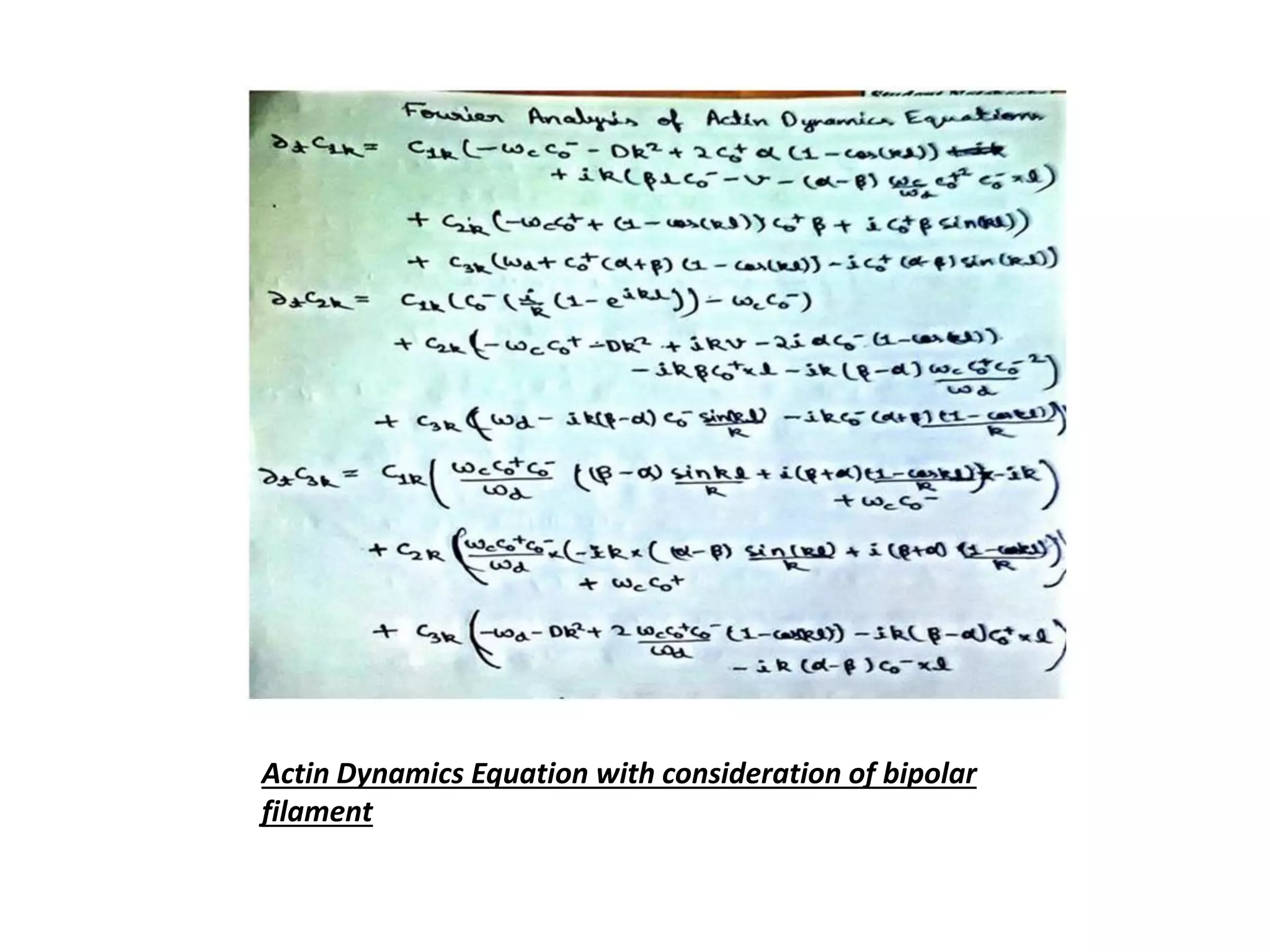 Actin Dynamics Equation with consideration of bipolar
filament
 