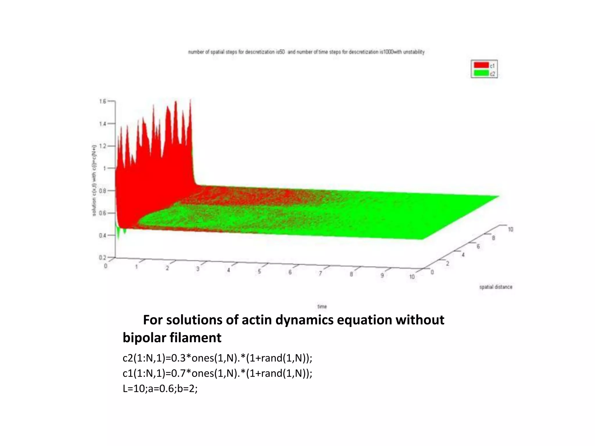 For solutions of actin dynamics equation without
bipolar filament
c2(1:N,1)=0.3*ones(1,N).*(1+rand(1,N));
c1(1:N,1)=0.7*ones(1,N).*(1+rand(1,N));
L=10;a=0.6;b=2;
 