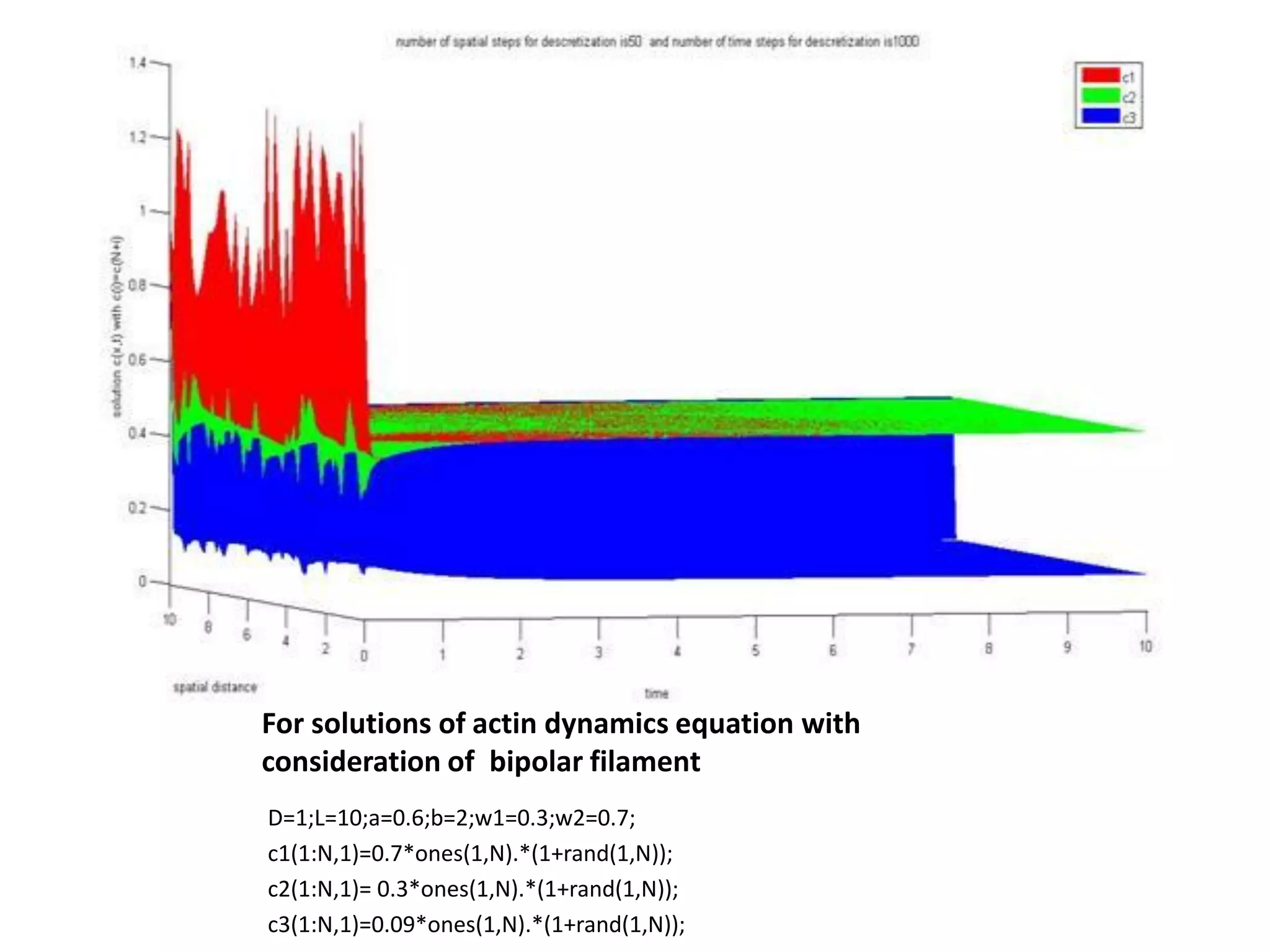 For solutions of actin dynamics equation with
consideration of bipolar filament
D=1;L=10;a=0.6;b=2;w1=0.3;w2=0.7;
c1(1:N,1)=0.7*ones(1,N).*(1+rand(1,N));
c2(1:N,1)= 0.3*ones(1,N).*(1+rand(1,N));
c3(1:N,1)=0.09*ones(1,N).*(1+rand(1,N));
 