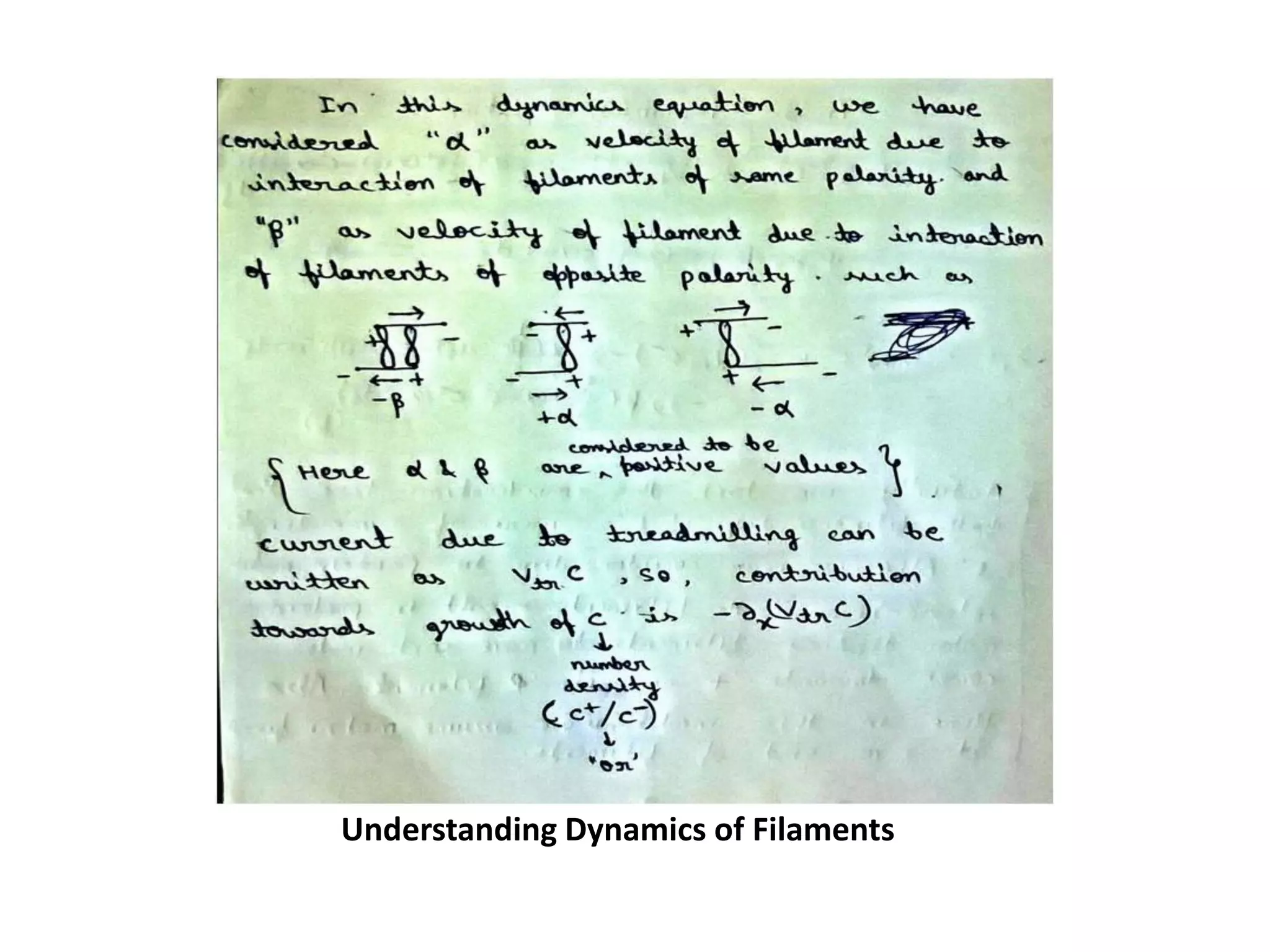 Understanding Dynamics of Filaments
 