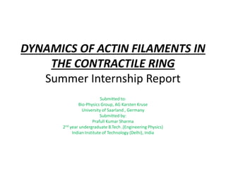 DYNAMICS OF ACTIN FILAMENTS IN
THE CONTRACTILE RING
Summer Internship Report
Submitted to:
Bio-Physics Group, AG Karsten Kruse
University of Saarland , Germany
Submitted by:
Prafull Kumar Sharma
2nd year undergraduate B.Tech .(Engineering Physics)
Indian Institute of Technology (Delhi), India
 
