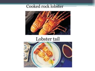Cooked rock lobster
Lobster tail
 
