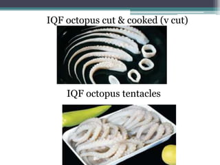 IQF octopus cut & cooked (v cut)
IQF octopus tentacles
 