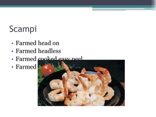 Scampi
• Farmed head on
• Farmed headless
• Farmed cooked easy peel
• Farmed deep cut
 