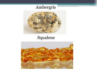 Ambergris
Squalene
 