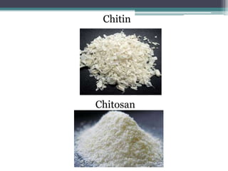 Chitin
Chitosan
 