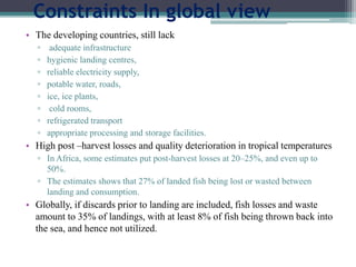 Constraints In global view
• The developing countries, still lack
▫ adequate infrastructure
▫ hygienic landing centres,
▫ reliable electricity supply,
▫ potable water, roads,
▫ ice, ice plants,
▫ cold rooms,
▫ refrigerated transport
▫ appropriate processing and storage facilities.
• High post –harvest losses and quality deterioration in tropical temperatures
▫ In Africa, some estimates put post-harvest losses at 20–25%, and even up to
50%.
▫ The estimates shows that 27% of landed fish being lost or wasted between
landing and consumption.
• Globally, if discards prior to landing are included, fish losses and waste
amount to 35% of landings, with at least 8% of fish being thrown back into
the sea, and hence not utilized.
 