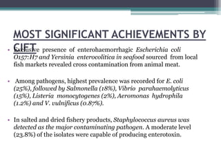 MOST SIGNIFICANT ACHIEVEMENTS BY
CIFT• Exclusive presence of enterohaemorrhagic Escherichia coli
O157:H7 and Yersinia enterocolitica in seafood sourced from local
fish markets revealed cross contamination from animal meat.
• Among pathogens, highest prevalence was recorded for E. coli
(25%), followed by Salmonella (18%), Vibrio parahaemolyticus
(15%), Listeria monocytogenes (2%), Aeromonas hydrophila
(1.2%) and V. vulnificus (0.87%).
• In salted and dried fishery products, Staphylococcus aureus was
detected as the major contaminating pathogen. A moderate level
(23.8%) of the isolates were capable of producing enterotoxin.
 