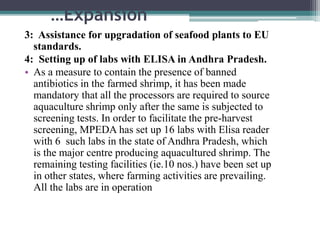 …Expansion
3: Assistance for upgradation of seafood plants to EU
standards.
4: Setting up of labs with ELISA in Andhra Pradesh.
• As a measure to contain the presence of banned
antibiotics in the farmed shrimp, it has been made
mandatory that all the processors are required to source
aquaculture shrimp only after the same is subjected to
screening tests. In order to facilitate the pre-harvest
screening, MPEDA has set up 16 labs with Elisa reader
with 6 such labs in the state of Andhra Pradesh, which
is the major centre producing aquacultured shrimp. The
remaining testing facilities (ie.10 nos.) have been set up
in other states, where farming activities are prevailing.
All the labs are in operation
 