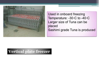 Used in onboard freezing
Temperature: -30◦C to -40◦C
Larger size of Tuna can be
placed
Sashimi grade Tuna is produced
Vertical plate freezer
 