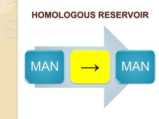 Homogulus Man Dynamics of disease transmission | PPTX