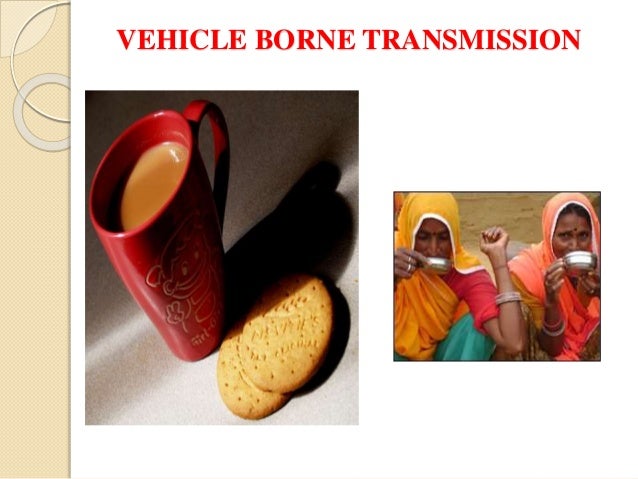 Dynamics of disease transmission