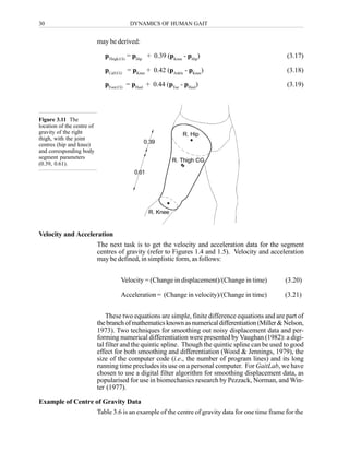 Dynamics of human gait | PDF
