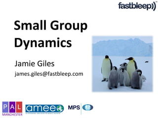 Small Group Dynamics Jamie Giles [email_address] 