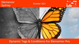 Elementor
Sydney
October 2021
Dynamic Tags & Conditions For Elementor Pro
 