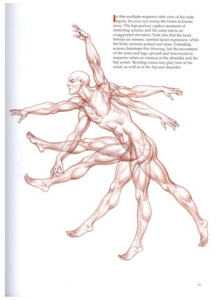 Dynamic wrinkle and drapery burne hogarth