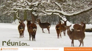 réunion…
© Reproduction et diffusion interditeRendez-vous sur reussir-son-entreprise.fr
 