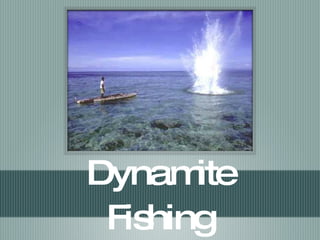Dynamite Fishing 