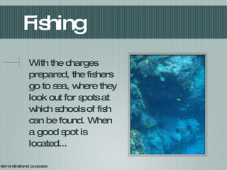 Fishing With the charges prepared, the fishers go to sea, where they look out for spots at which schools of fish can be found. When a good spot is located... For demonstrational purposes 