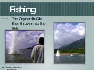 Fishing The “dynamite” is then thrown into the sea. The fuse was thrown over a fishless area 