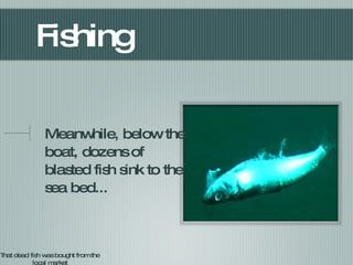 Fishing Meanwhile, below the boat, dozens of blasted fish sink to the sea bed... That dead fish was bought from the local market 