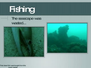 Fishing The seascape was wasted... That dead fish was bought from the local market 