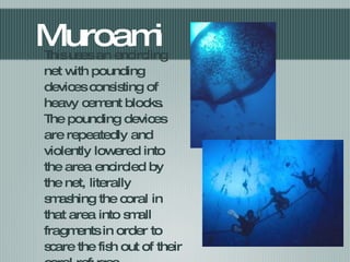 Muroami This uses an encircling net with pounding devices consisting of heavy cement blocks. The pounding devices are repeatedly and violently lowered into the area encircled by the net, literally smashing the coral in that area into small fragments in order to scare the fish out of their coral refuges. 