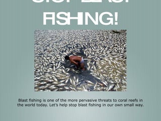 STOP BLAST FISHING! Blast fishing is one of the more pervasive threats to coral reefs in the world today. Let’s help stop blast fishing in our own small way. 