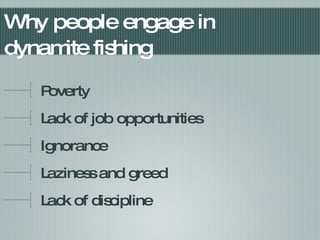Why people engage in dynamite fishing Poverty Lack of job opportunities Ignorance Laziness and greed Lack of discipline 