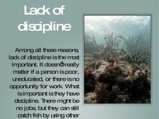 Lack of discipline Among all these reasons, lack of discipline is the most important. It doesn’t really matter if a person is poor, uneducated, or there is no opportunity for work. What is important is they have discipline. There might be no jobs, but they can still catch fish by using other means. 