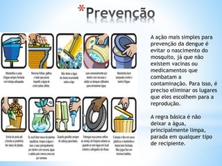 *
A ação mais simples para
prevenção da dengue é
evitar o nascimento do
mosquito, já que não
existem vacinas ou
medicamentos que
combatam a
contaminação. Para isso, é
preciso eliminar os lugares
que eles escolhem para a
reprodução.
A regra básica é não
deixar a água,
principalmente limpa,
parada em qualquer tipo
de recipiente.
 