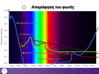 Απορόφηση του φωτός
23
 