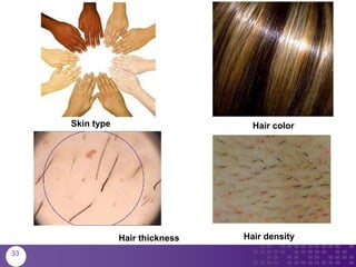 Skin type Hair color
Hair densityHair thickness
33
 