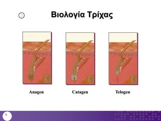 Bιολογία Τρίχας
Anagen Catagen Telogen
9
 