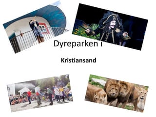 Dyreparken i
Kristiansand
 