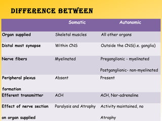 DIFFERENCE bETwEEN
Somatic Autonomic
Organ supplied Skeletal muscles All other organs
Distal most synapse Within CNS Outside the CNS(i.e. ganglia)
Nerve fibers Myelinated Preganglionic - myelinated
Postganglionic- non­myelinated
Peripheral plexus
formation
Absent Present
Efferent transmitter ACH ACH, Nor-adrenaline
Effect of nerve section
on organ supplied
Paralysis and Atrophy Activity maintained, no
Atrophy
 