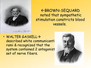 BROWN-SEQUARD
noted that sympathetic
stimulation constricts blood
vessels.
• WALTER GASKELL
described white communicanti
rami & recognized that the
system contained 2 antagonist
set of nerve fibers.
 