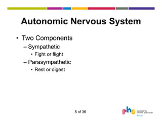 Autonomic Nervous System
• Two Components
– Sympathetic
• Fight or flight

– Parasympathetic
• Rest or digest

5 of 36

 