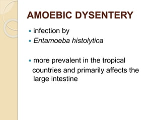 Dysenteries | PPTX
