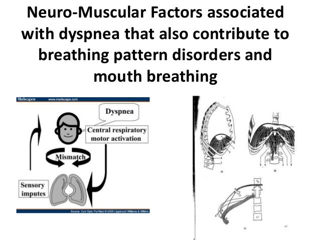 Causes Of Dysfunctional Breathing – OIZQOC