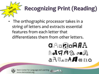 Stern Center for Language and Learning
www.sterncenter.org
• The orthographic processor takes in a
string of letters and extracts essential
features from each letter that
differentiates them from other letters.
Recognizing Print (Reading)
 