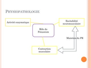 PHYSIOPATHOLOGIE
Rôle du
Potassium
Excitabilité
neuromusculaire
Contraction
musculaire
Activité enzymatique
Maintien du PR
 