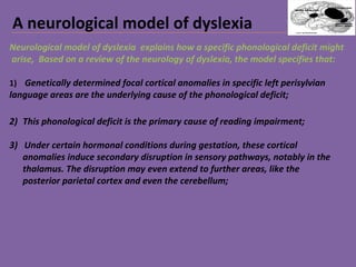 A neurological model of dyslexia
Neurological model of dyslexia explains how a specific phonological deficit might
arise, Based on a review of the neurology of dyslexia, the model specifies that:
1) Genetically determined focal cortical anomalies in specific left perisylvian
language areas are the underlying cause of the phonological deficit;
2) This phonological deficit is the primary cause of reading impairment;
3) Under certain hormonal conditions during gestation, these cortical
anomalies induce secondary disruption in sensory pathways, notably in the
thalamus. The disruption may even extend to further areas, like the
posterior parietal cortex and even the cerebellum;
 