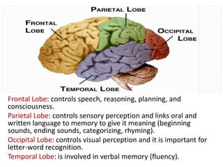 Dyslexia presentation | PPT