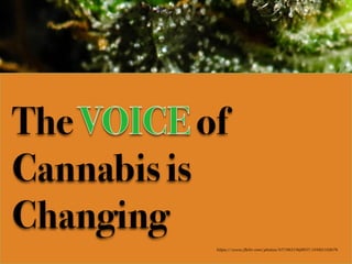 The of
Cannabis is
Changing
https://www.flickr.com/photos/67196519@N07/10482102676/
 